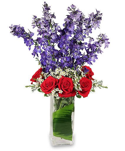 American Spirit - Send Floral Fireworks with the American Spirit flower arrangement! Featuring vibrant red roses and bold blue delphinium, this arrangement embodies the true spirit of patriotism. The American Spirit arrangement is ideal for your favorite patriotic celebration or just as a thank you to your favorite military serviceman!  Includes Tall Square Vase, Foliage: Variegated Hosta, Variegated Pittosporum, Blue Delphinium, Red Roses, White Waxflower.
