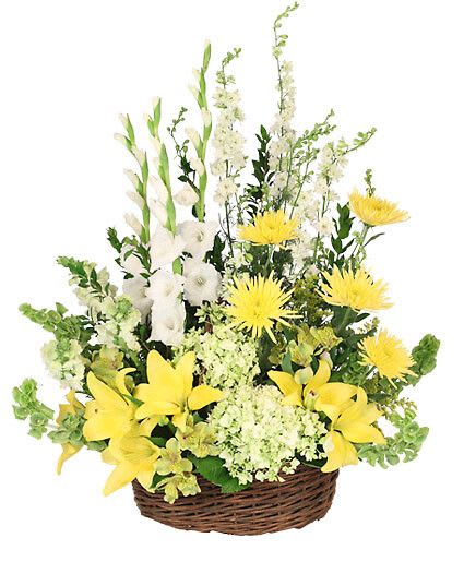Prayerful Whisper - Send your most sincere sympathies to family and friends with a basket of blooms that truly embraces the vibrant spirit of a lost loved one and brings comfort to those who are mourning. The Prayerful Whisper memorial basket would be a heartfelt addition to any memorial service or can be sent to the home for a more personal tribute. With radiant yellow lilies, yellow spider mums, and elegant pale green hydrangeas, this basket is sure to illustrate your deepest condolences.  Includes Brown Willow Basket With Handle &amp; Liner, Foliage: Myrtle, White Gladiolus, White Larkspur, White Snapdragons, Bells Of Ireland, Yellow Spider Mums, Pale Green Hydrangeas, Yellow Asiatic Lilies, Yellow Alstroemeria, Solidago.