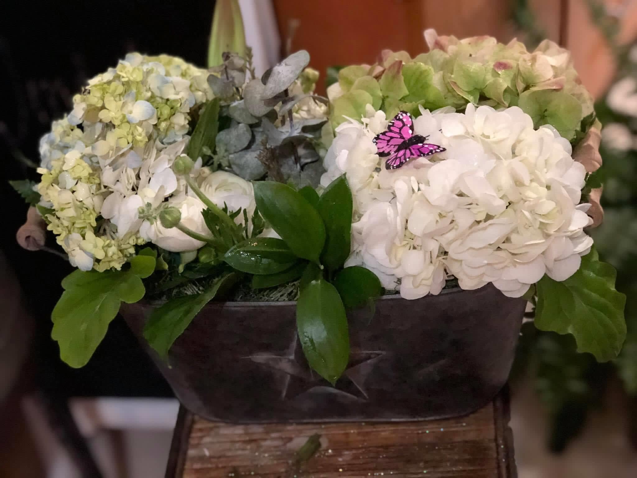 White and pale green hydrangeas arranged in a dark bowl