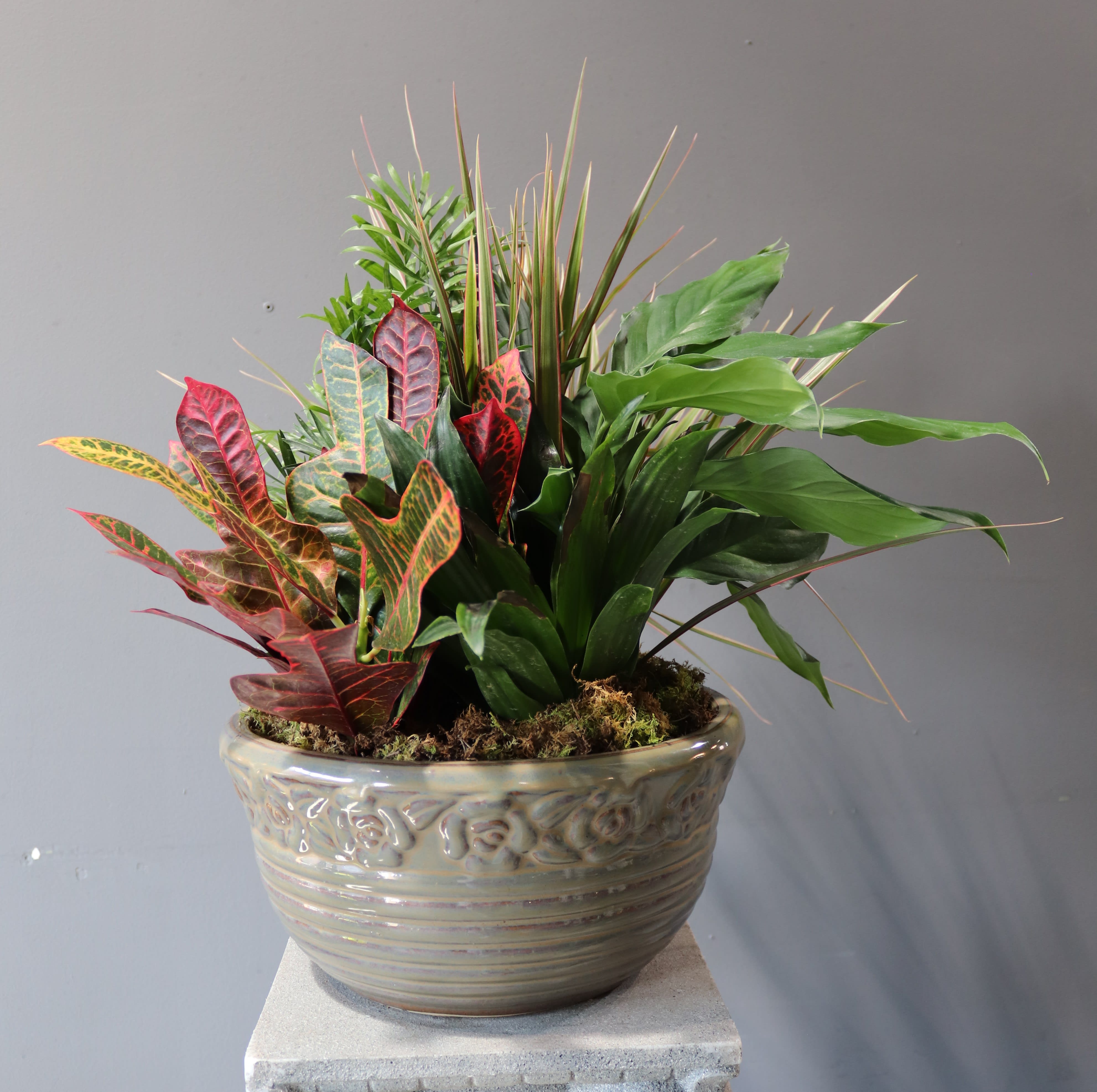 12" Ceramic Dish Garden; sympathy - A variety of plants that are aesthetically pleasing together and live well together in