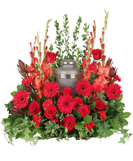 Adoration Urn - Relive fond memories and celebrate the life of someone near and dear to your heart with a beautiful Adoration cremation arrangement. Gerberas, roses and carnations in traditional red hues surrounding the urn you have chosen for your loved one. Urn Not Included  Includes Casket Saddle With Wet Floral Foam, Foliage: Salal, Pittosporum, Ivy, Myrtle, Safari Sunset Leucadendron, Red Gladiolus, Red Gerberas, Red Roses, Red Carnations.