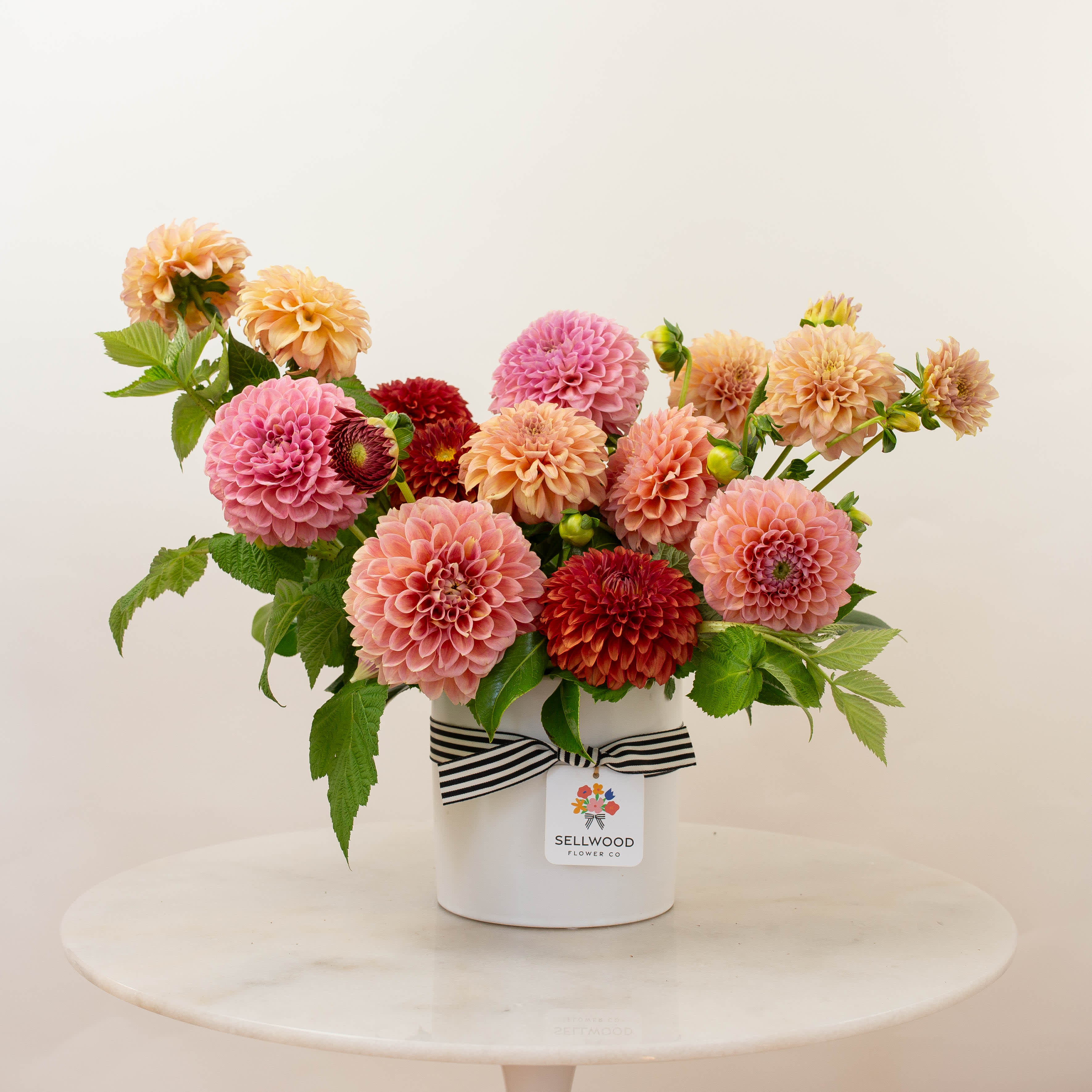 Pink and peach dahlias arranged in a white vase with a striped ribbon