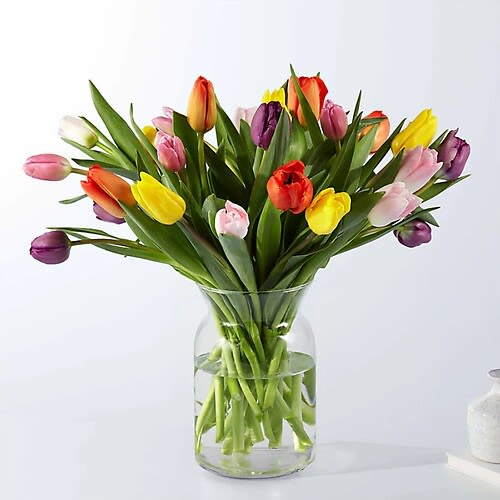 Picnic Tulips - Celebrate sweetly with the classic beauty of our Picnic Tulips. These captivating colors shine brightest during the sunniest months around fun birthdays, anniversaries, or just because.  Details: Tulips are about 14"H by 13"W. A farm-fresh bunch of 15 tulips. Includes a clear glass vase. This bouquet comes with floral food and care instructions, packed carefully within a gift box. Just like you after a long flight, tulips need a drink of water before they perk up. As soon as you take your bouquet out of the box, trim the stems at an angle and place them in room temperature water with flower food. Tulips may continue to grow several inches and may curve towards the direction of light. For long-lasting blooms, replace water daily and continue to trim stems. We recommend using a 7x4 vase for the 15 stem bouquet and an 8x5 vase for the 30 stem bouquet. Bloom Details: Tulip
