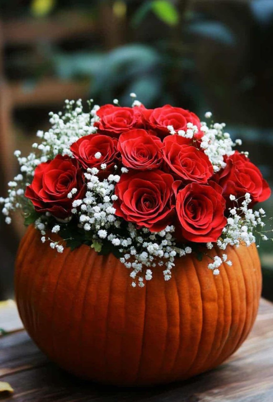 Scarlet Harvest Pumpkin - Embrace the warmth of the season with our Scarlet Harvest Pumpkin, a fresh and romantic fall arrangement available exclusively at Braly Blooms. Featuring rich red roses, delicate baby’s breath, and soft seasonal greenery, all artfully arranged inside a fresh, hand-carved pumpkin, this design perfectly captures autumn’s rustic charm with a touch of timeless elegance. Ideal for gifting or decorating your home, it’s a cozy yet luxurious way to celebrate the beauty of fall.