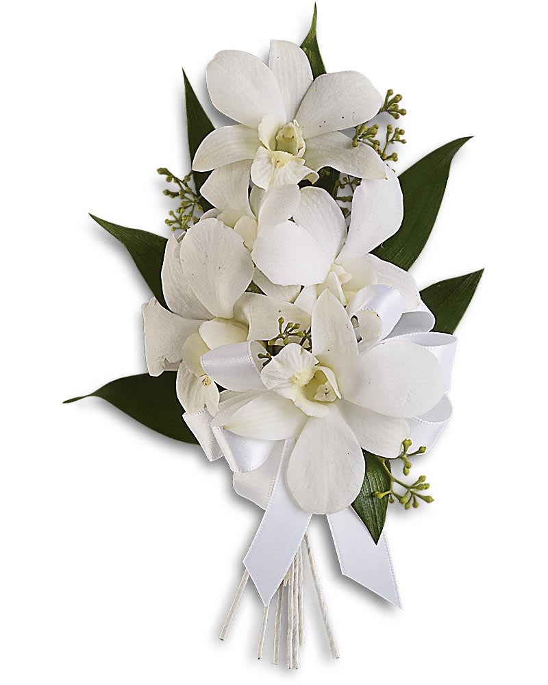 White orchid bouquet with ribbon and dark green leaves