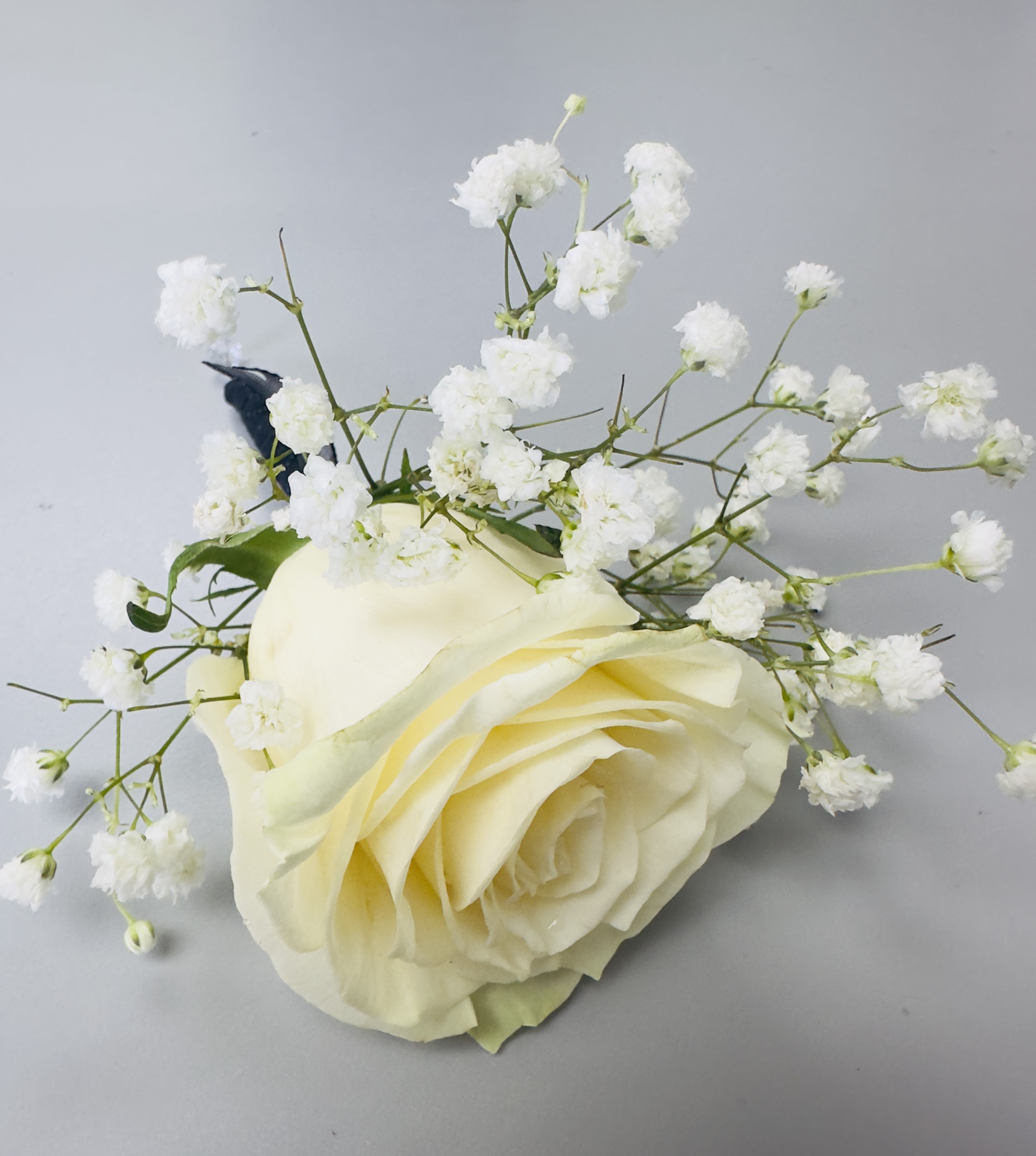 White Rose Boutonnière by Almaden Valley Flowers™  - A single white rose takes center stage in this refined white rose boutonnière, offering a sleek, modern silhouette perfect for a wedding or prom. The compact, angled design and clean white palette create an understated, formal look that will make the person you're thinking of feel polished and confidently dressed for the moment.  Surrounding the rose are small white filler blooms and variegated green-and-yellow foliage that add delicate texture and a subtle pop of color without distracting from the lily's elegant line. The stem is neatly wrapped in white for a polished finish; the boutonnière is deliberately minimal in scale so it sits comfortably on lapels and complements both tuxedos and tailored suits.  Designed as a luxury, thoughtfully curated piece, this boutonnière reads as intentional and personal-the kind of detail that completes wedding attire or elevates prom looks. Order with timing in mind so it arrives fresh for the occasion; gentle misting and keeping it cool until pinning will help preserve its crisp, just-crafted appearance.