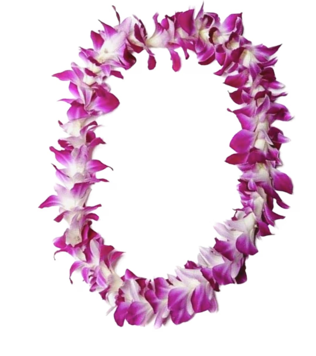 Purple and white orchid lei on a white background