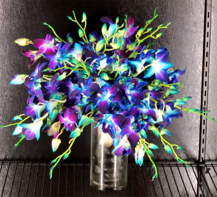 Bright multicolored orchid arrangement in a clear glass vase
