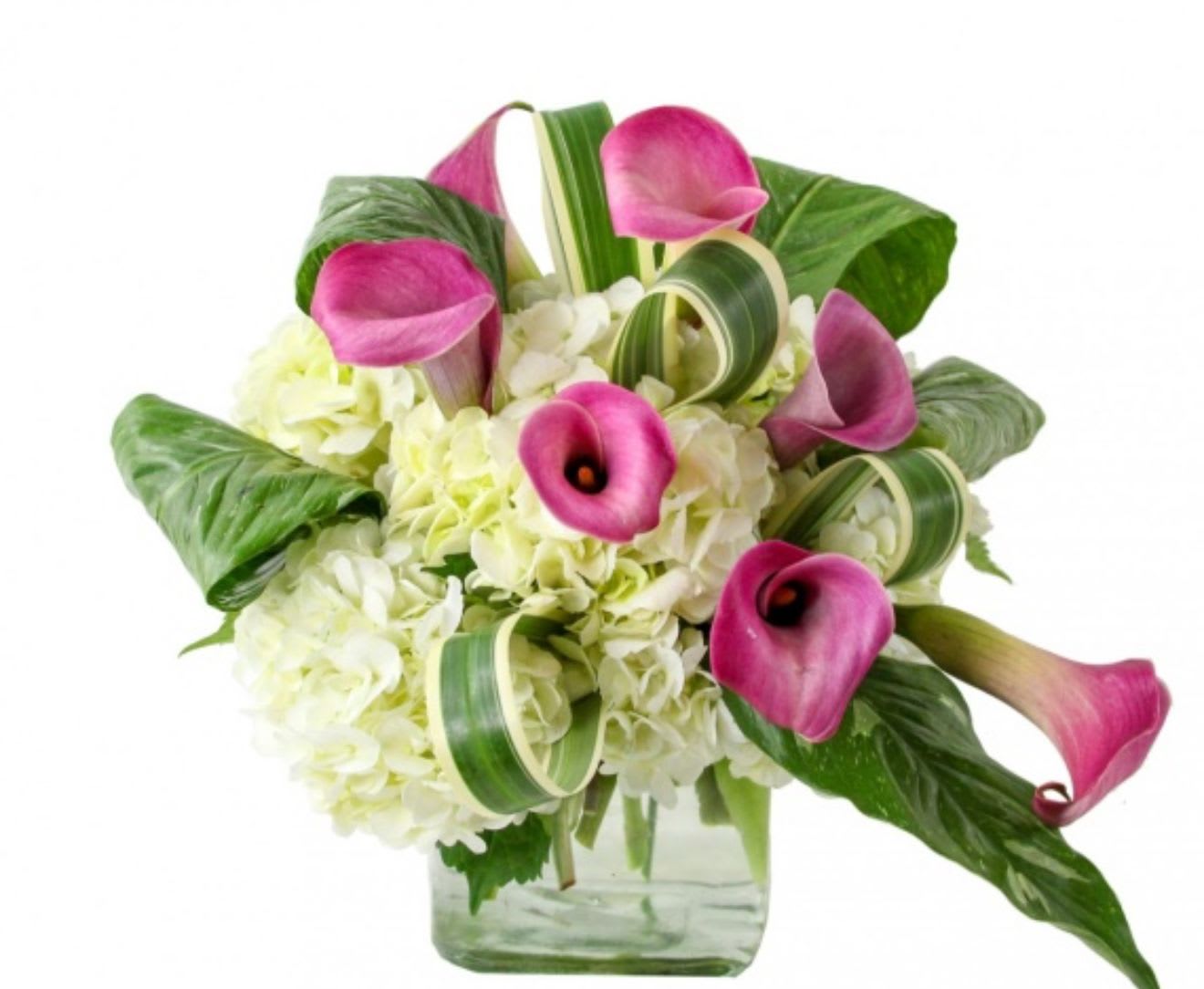 Pink calla lilies in a glass vase with white hydrangeas