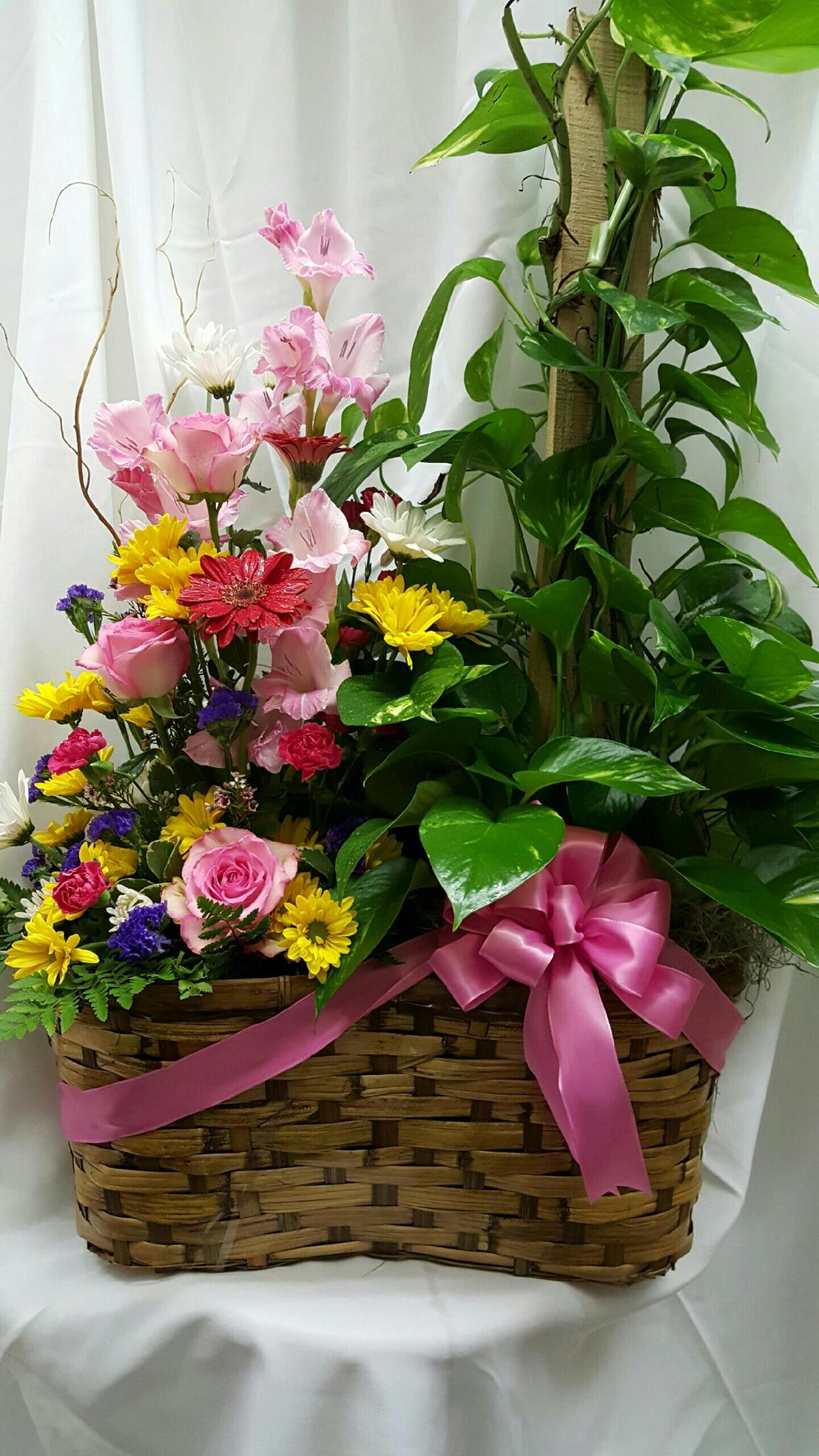 Basket arrangement with pink and yellow flowers and a large green plant