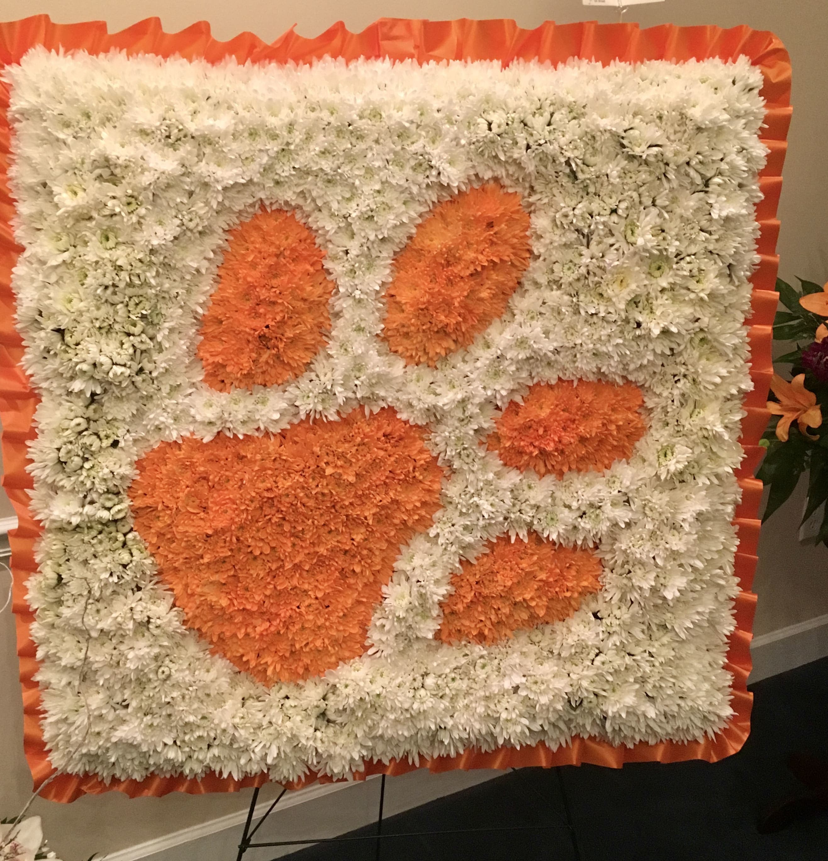 Square floral display with orange paw prints on a white chrysanthemum background