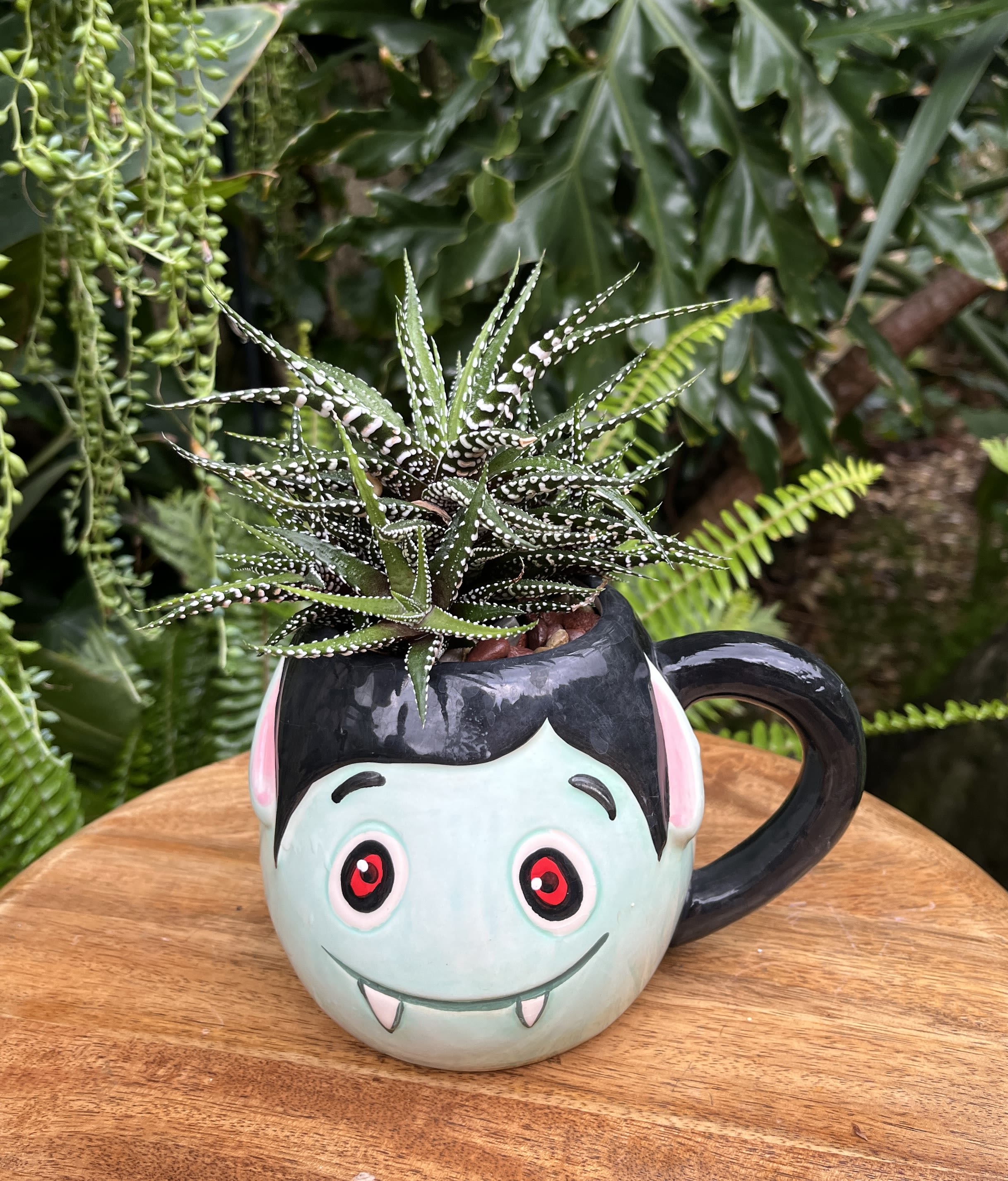 Succulent in a vampire face mug planter