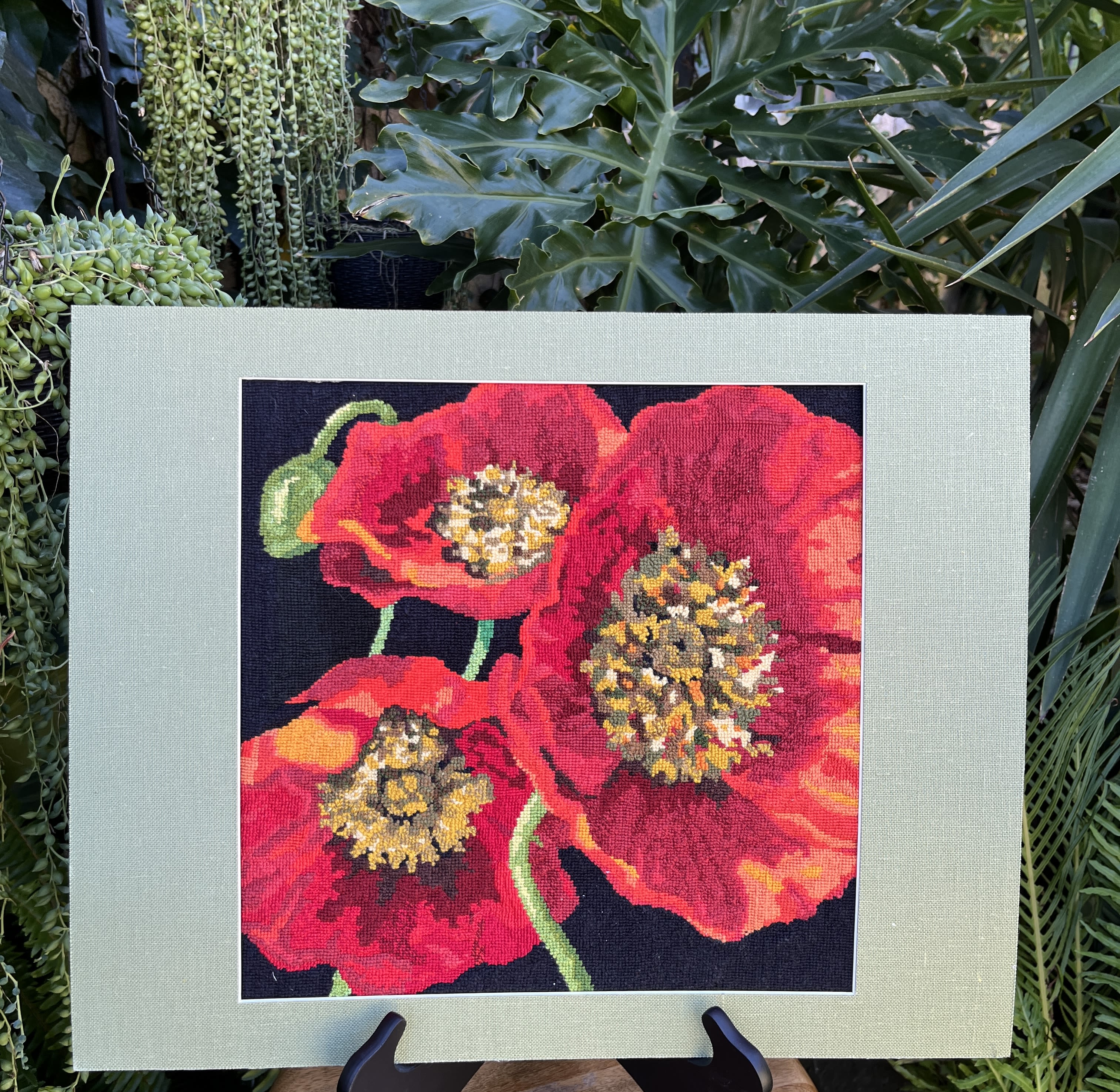 Framed artwork of three red poppies on a dark background