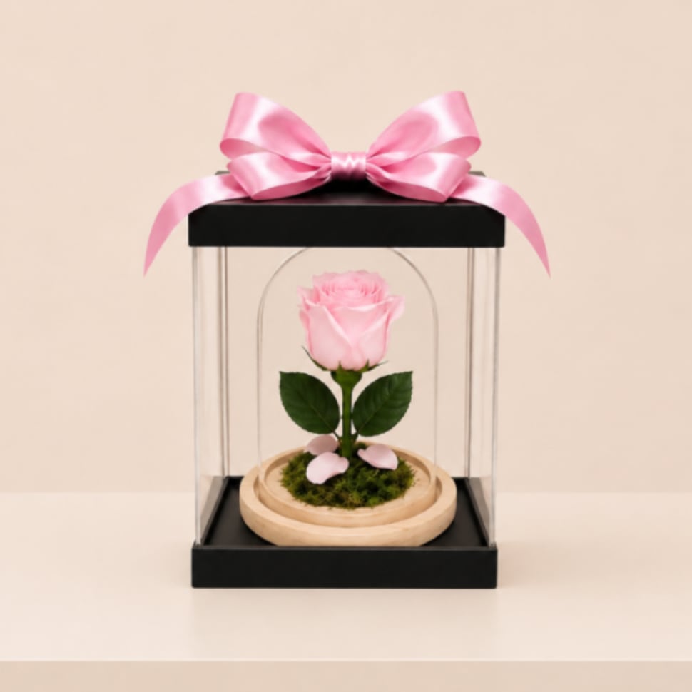 Forever Preserved Rose – Soft Pink (Height: 6.69 ") - A real Ecuadorian rose, professionally preserved to remain fresh and beautiful for over a year. Elegantly displayed under a clear glass dome on a natural wooden base and finished with a delicate cream ribbon, this timeless piece captures grace and lasting affection.  Measuring approximately 6.7 inches tall, this maintenance-free floral keepsake offers a refined and subtle expression of love—perfect for meaningful and unforgettable moments.  Each piece is Designer’s Choice. Rose size and tones may vary slightly based on availability while preserving the overall look, quality, and presentation.  Perfect for Valentine’s Day, anniversaries, birthdays, romantic gestures, thinking of you, Mother’s Day, or a heartfelt “just because” gift.  Available for delivery in Southwest Florida, including Naples, Bonita Springs, and Fort Myers Beach.