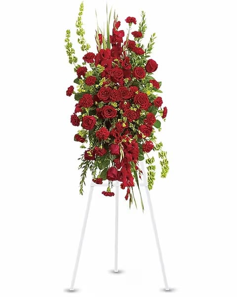 Care and Compassion Spray - Your care and compassion will be appreciated by all who lay eyes on this radiant standing spray. A variety of lovely vibrant red blossoms contrasted by vivid green of bells of Ireland will deliver your heartfelt condolences. Perfectly. Dazzling flowers such as red roses, gladioli and carnations along with bells of Ireland and other simple greenery create a spray that is both memorable and magical. 