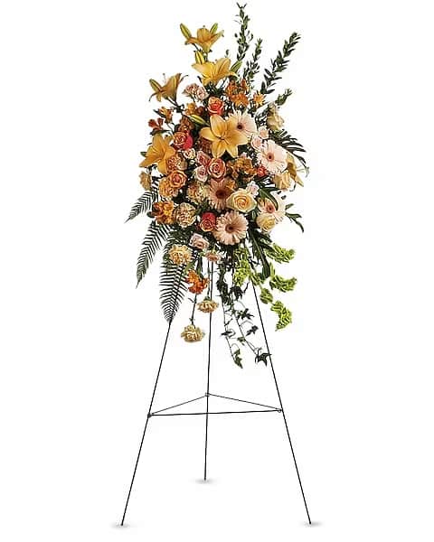 Sweet Remembrance Spray - The flowing, improvisational feeling expressed by this beautiful spray of pastel flowers is like an outpouring of love. It will be long-remembered. The striking bouquet includes peach roses, orange bi-color roses, peach spray roses, peach asiatic lilies, orange alstroemeria, peach carnations and bells of Ireland, accented with assorted greenery.