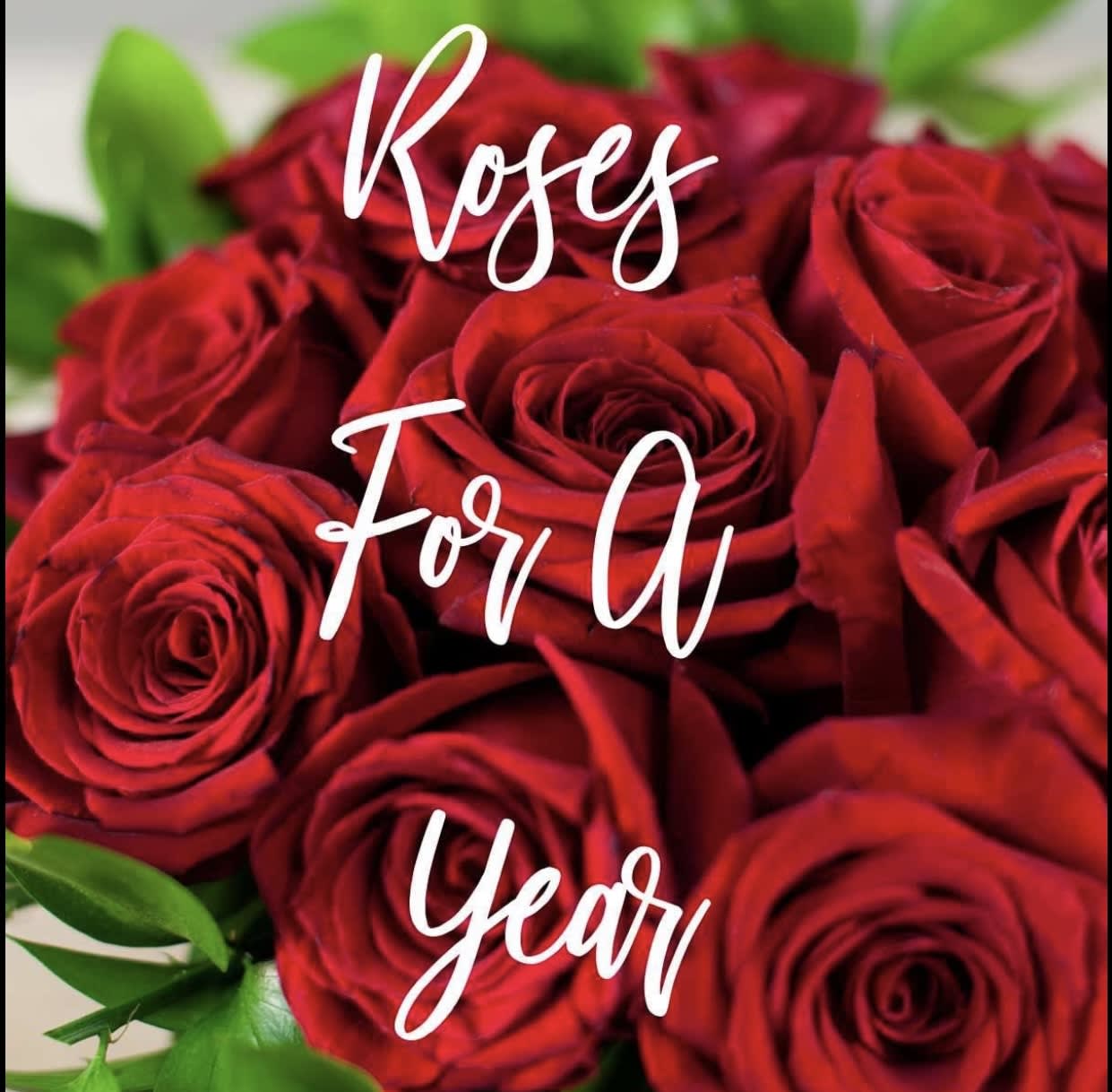 Close-up of a dense cluster of red roses with white script text overlaid