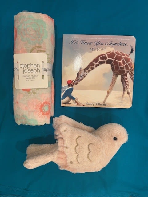 Baby swaddle blanket, children's book, and plush bird on a blue background