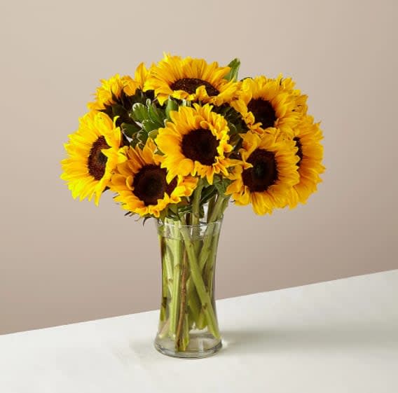 Honey Bee Sunflower - Your recipient will be buzzing the moment these sunflowers arrive. This radiant bouquet features a dozen sunny blooms for celebrations, just because, and every moment in between.  Sunflowers are about 17"H by 14"W.