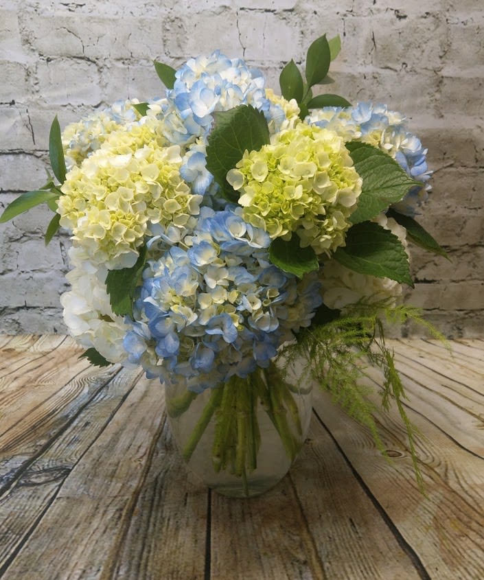 Blue and pale green hydrangea bouquet in a clear glass vase