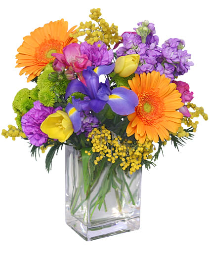 Colorful bouquet of gerbera daisies, irises, and tulips in a clear glass vase