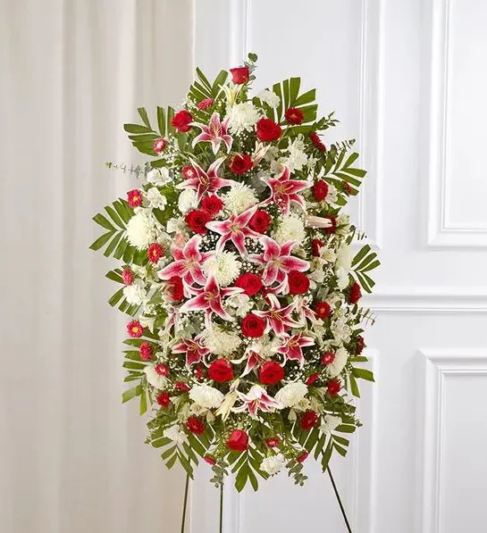Red Rose And Lily Standing Spray - Celebrate a beautiful life with a truly heartfelt gesture. Our elegant standing sympathy spray is arranged with a gathering of radiant red, soft pink and pure white blooms. A traditional floral display for the services, it’s a touching way to honor the memory of a loved one while expressing your deepest condolences.One-sided standing spray arrangement with red roses and Matsumoto asters, pink Stargazer lilies, white Peruvian lilies (alstroemeria), carnations and football mums; accented with spiral and seeded eucalyptus, baby’s breath and assorted greenery