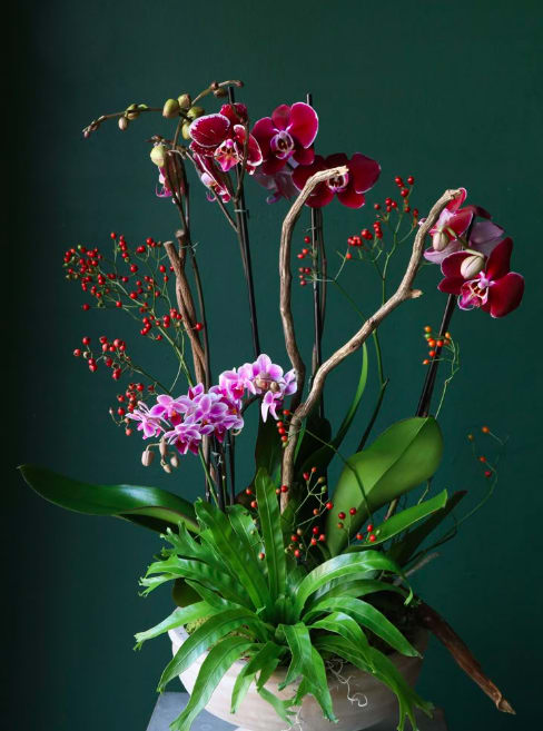 Tall orchid arrangement with red berries and broad green leaves in a container