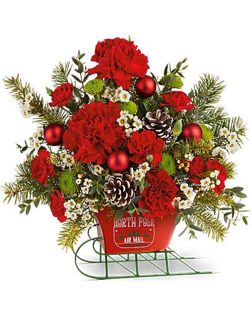 Teleflora's North Pole Sleigh Bouquet - Teleflora's North Pole Sleigh Bouquet dashes in with festive color and charm! Red blooms and winter greens are hand-arranged with delicate accents in Teleflora's North Pole Sleigh Keepsake. This Christmas arrangement doubles as a decorative metal sleigh, perfect for display or as a trinket catchall.