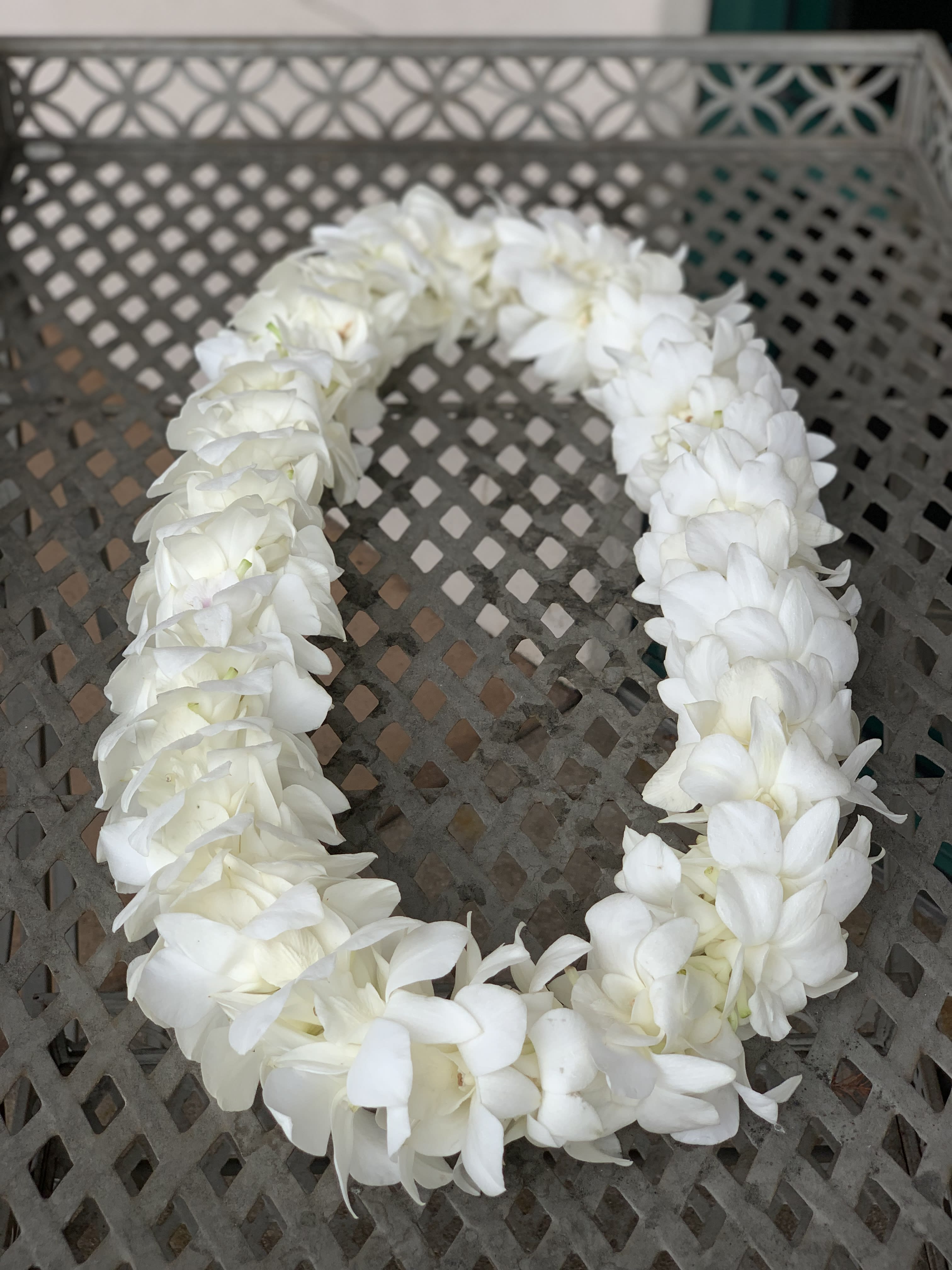 White flower lei arranged in a loop on a metal table