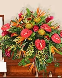 paradise casket spray - Bright, tropical blooms make a bold, life-affirming statement in this paradise casket spray-an elongated funeral arrangement designed for a polished wooden casket. Ideal for a memorial service or celebration of life, the spray uses vivid warm tones to honor the person you're remembering while bringing an uplifting, respectful presence to the ceremony.  This full, cascading spray features red heart-shaped tropical blooms alongside orange bird-of-paradise-style flowers, spiky yellow pincushion protea, and clusters of green orchids set against abundant tropical foliage. Arranged to drape gently over the sides of the casket, the composition creates multi-layered depth and dramatic movement that reads beautifully from every angle.  Made to convey energy and remembrance, this design suits families seeking a bright, exotic tribute that celebrates vitality and spirit. Sized to cover the top of a standard wooden casket, it arrives ready to place for the service; please contact us for delivery and personalization options to ensure it reflects the sentiment you wish to send.