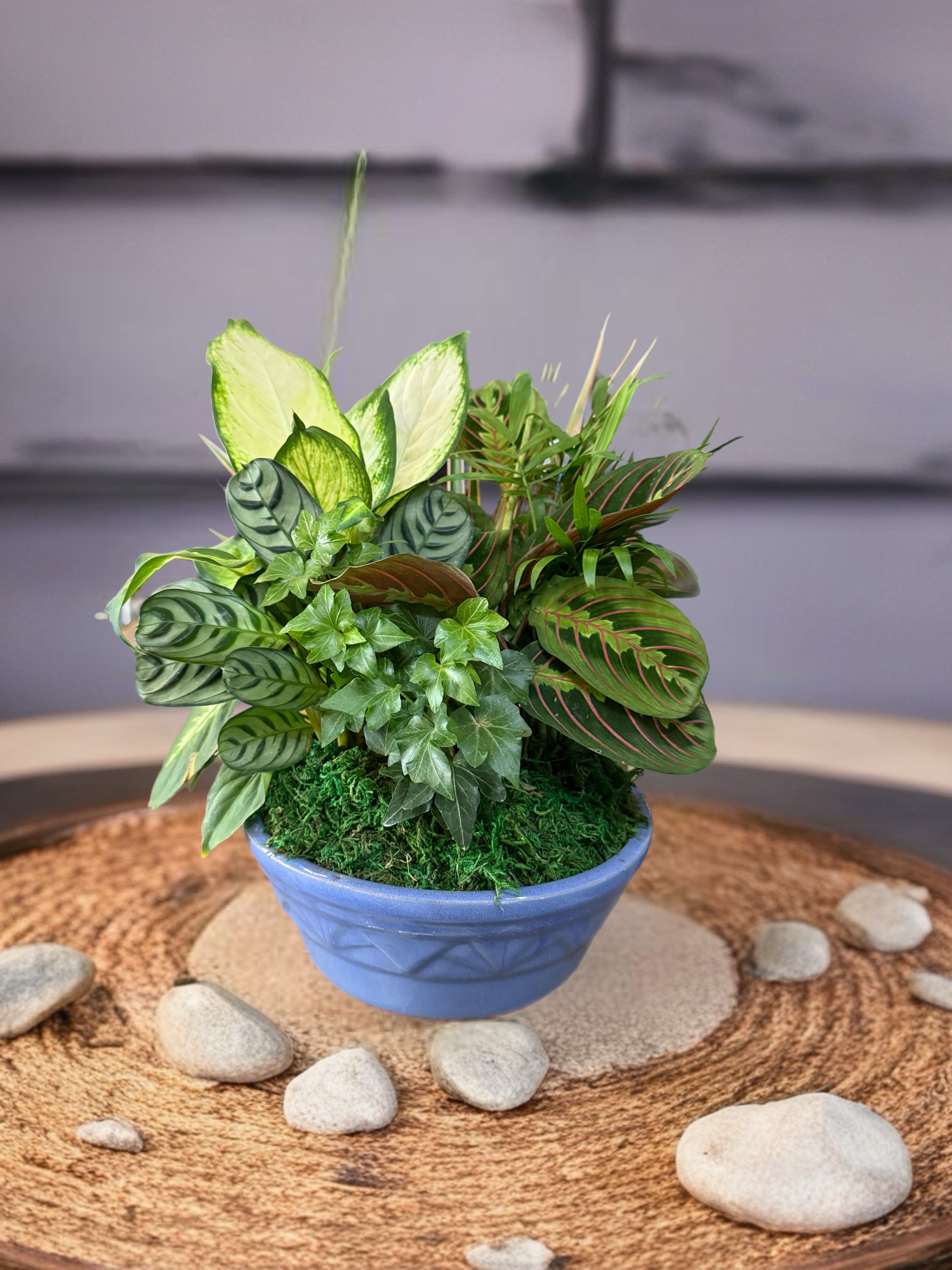 Mixed potted plant arrangement in a blue bowl planter