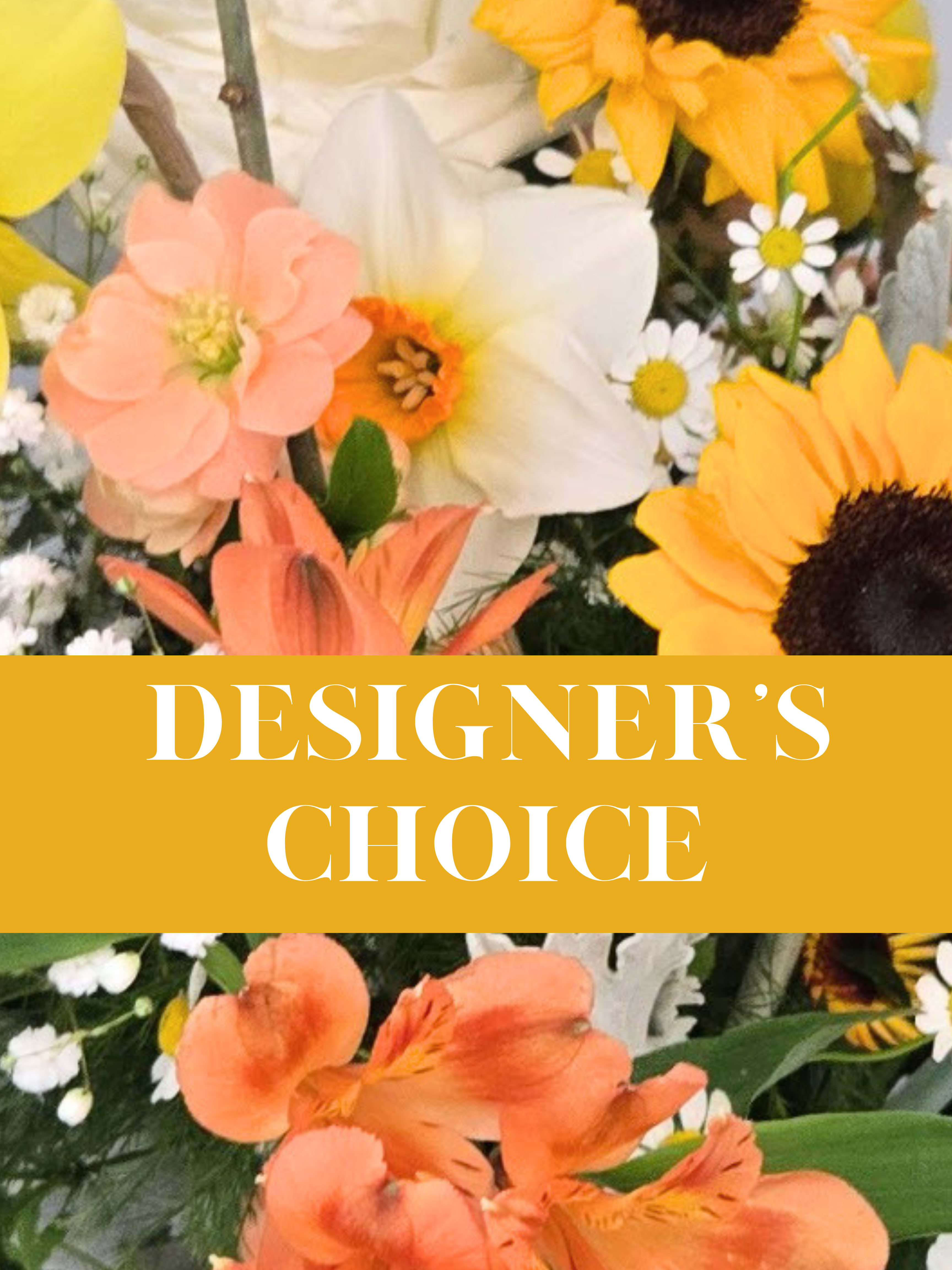 Designer's Choice Any Occasion Arrangement   - Let our designers choose and create a beautiful arrangement for your special occasion.  Using our freshest seasonal flowers, we will make an arrangement the receiver will be proud to show off to all of his or her friends.  Let us choose the color and style, or you choose color, and we choose design - you will not be disappointed! Designer's Choice Only.   You may specify flower color if you like but you don't have to.  You may call our shop before ordering on this site at (856) 694-4272 if you have any questions or to explore different price points, hear of any specials or verify any information.   