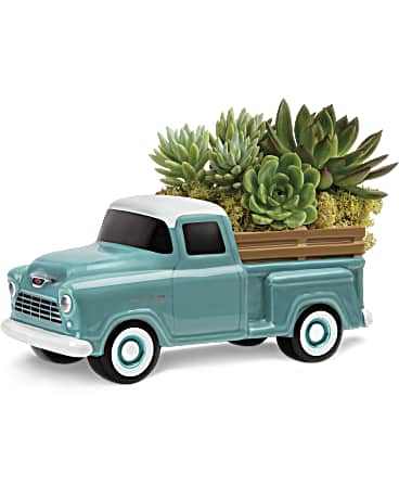 Succulent arrangement in a turquoise pickup truck planter