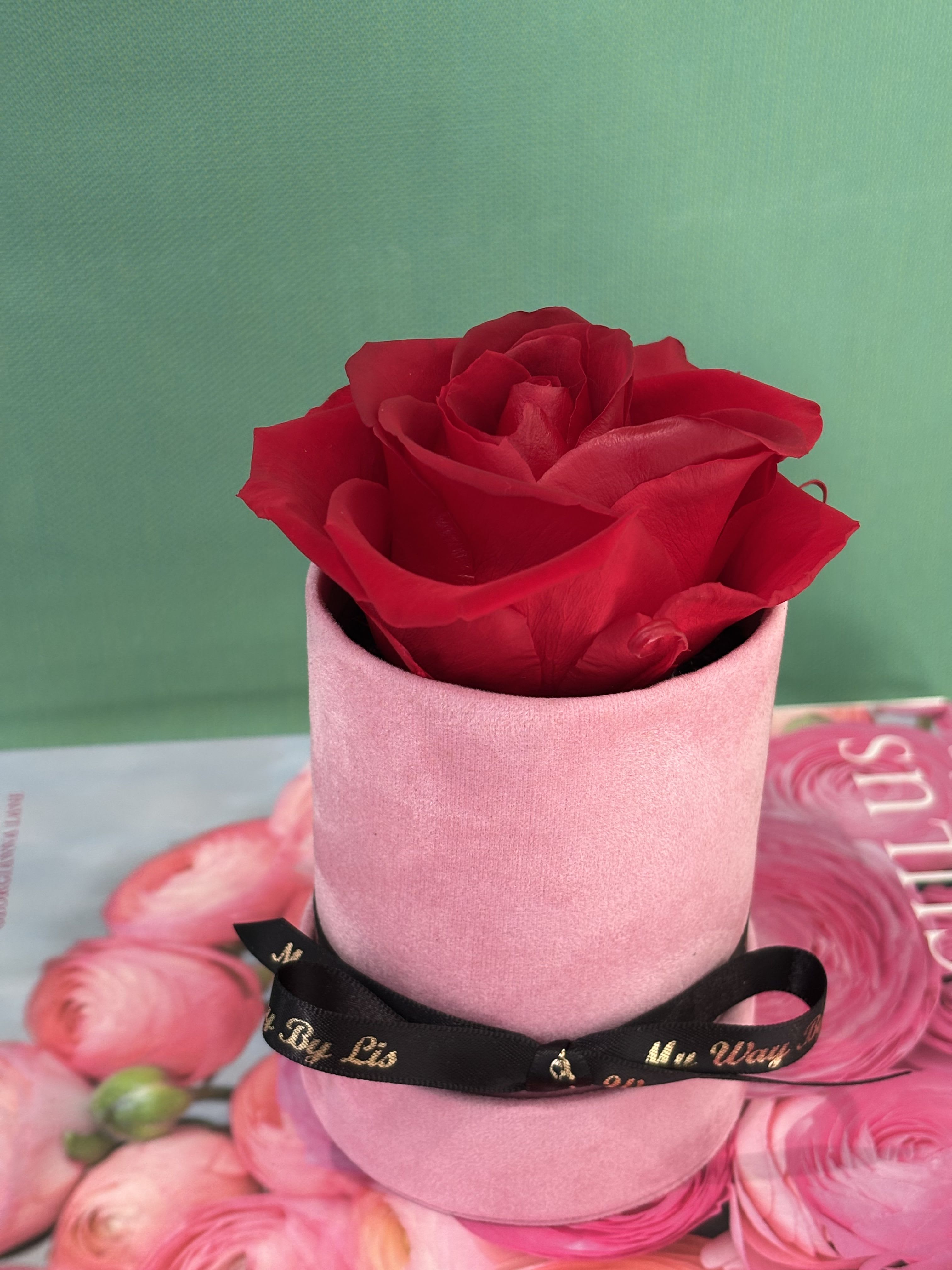 Bibas. (PRESERVED ROSE) -  Everlasting preserved roses, touch of nature’s elegance, beauty low maintenance.  Preserved roses are real roses that have been specially treated to maintain their fresh look and softness for years — without needing water or sunlight.  Here’s how it works: • The roses are picked at their most beautiful stage. • The natural sap and moisture are replaced with a preserving solution, usually made of glycerin and natural oils. • This process keeps the petals soft and vibrant, almost as if the rose were freshly cut.