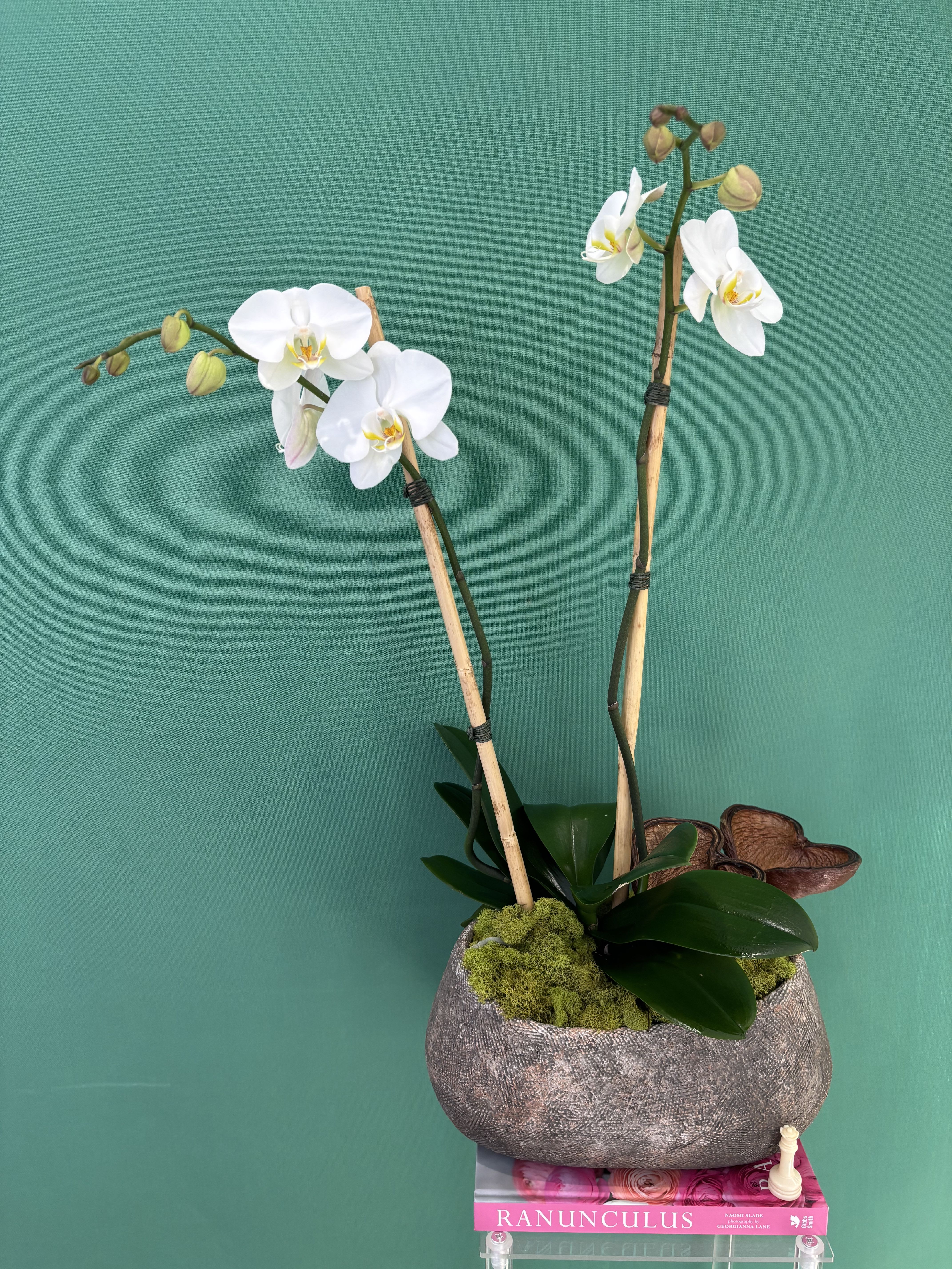 NY NY. - Elegant timeless flowers known for their delicate beauty. They symbolize peace, love, elegance, and new beginnings.