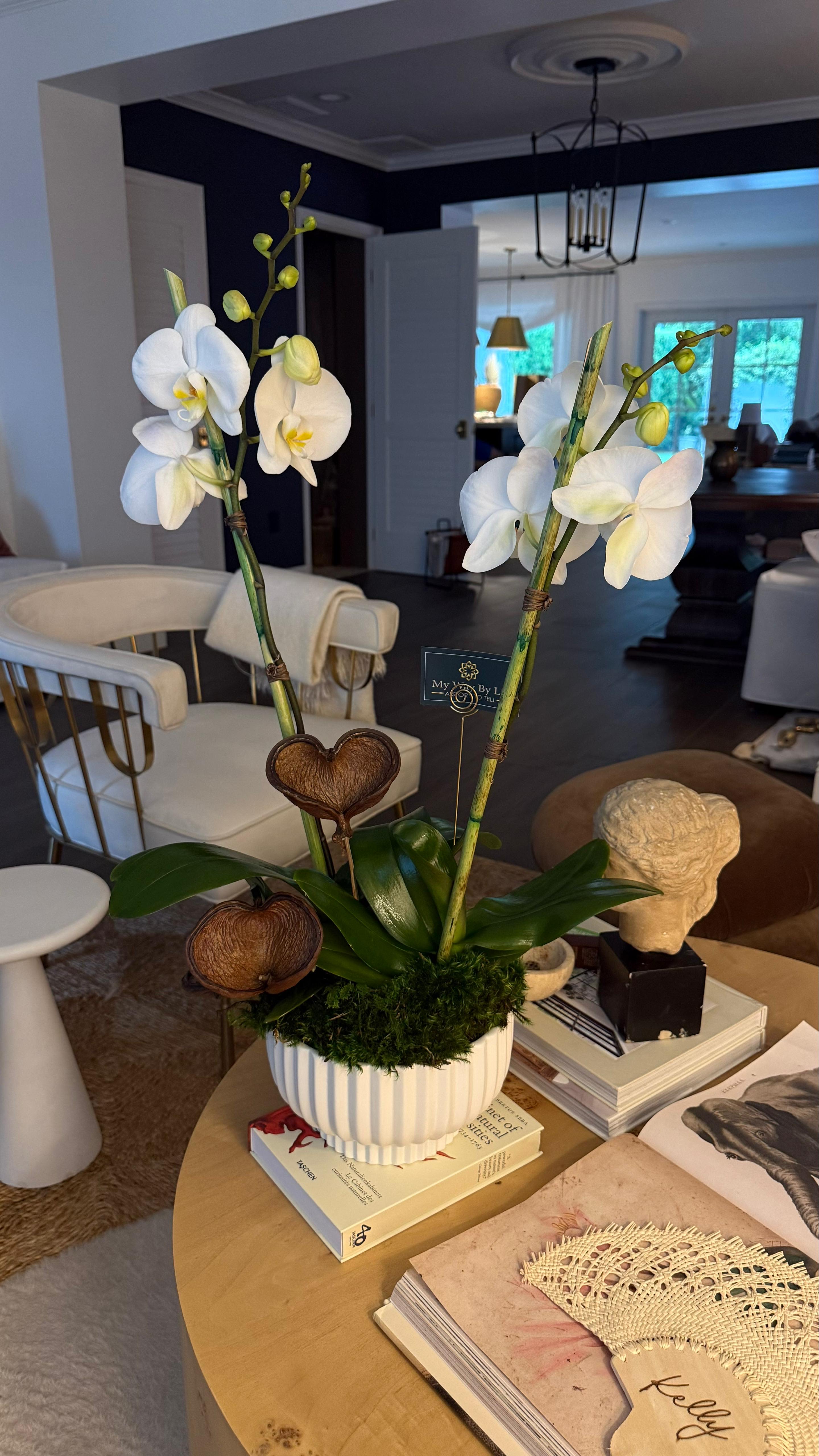 Lay. - Beautiful and elegant white Orchids you can choose de color and the style of the vase and the amount of orchids in your arrangement. 