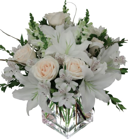 Simply White bouquet -  Modern arrangement of soft blooms that show you are thinking of them. White lilies, asters and carnations with cream roses are nestled in a clear glass cube vase.