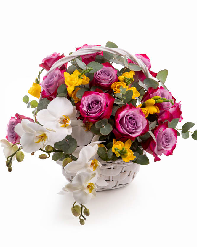 Orchid and roses arrangement - ”Charming” is the word that best describes this arrangement. The precious Phalaenopsis flowers combined with rose's delicacy and the freshness of freesias make this arrangement the best choice to impress. Whatever it's about your boss birthday or about an event in your friend' life, this arrangement in basket expresse the best your appreciation and definietely you will create a positive impression