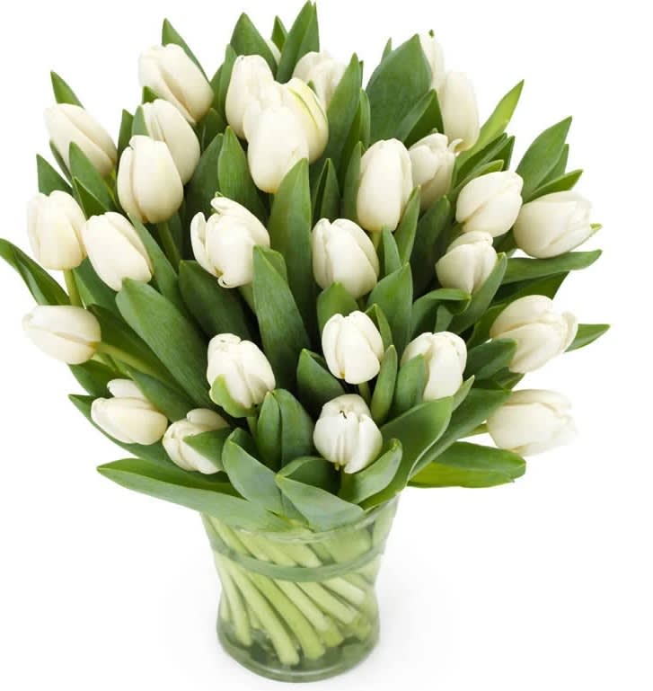Mount Vernon bouquet - Florist designs hand-tied bouquet of white tulips. A gentle floral message for any occasion....