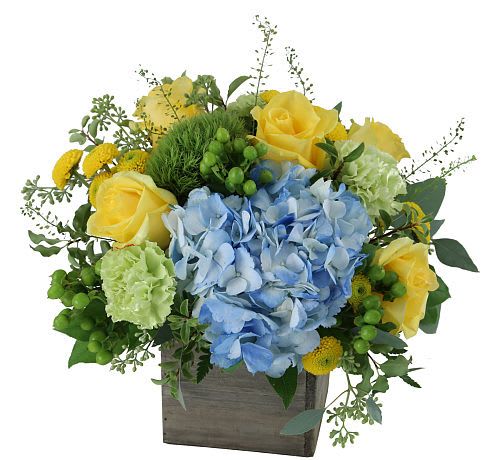 Blue hydrangeas and yellow roses in a wooden box arrangement