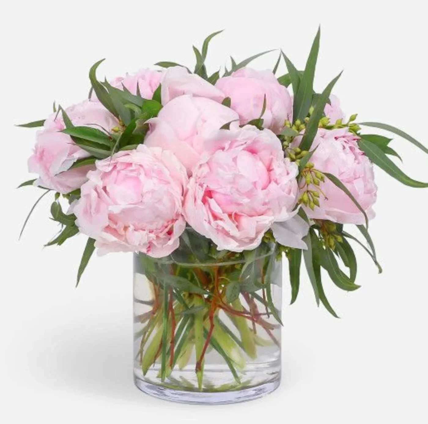Pink peonies in a clear glass vase