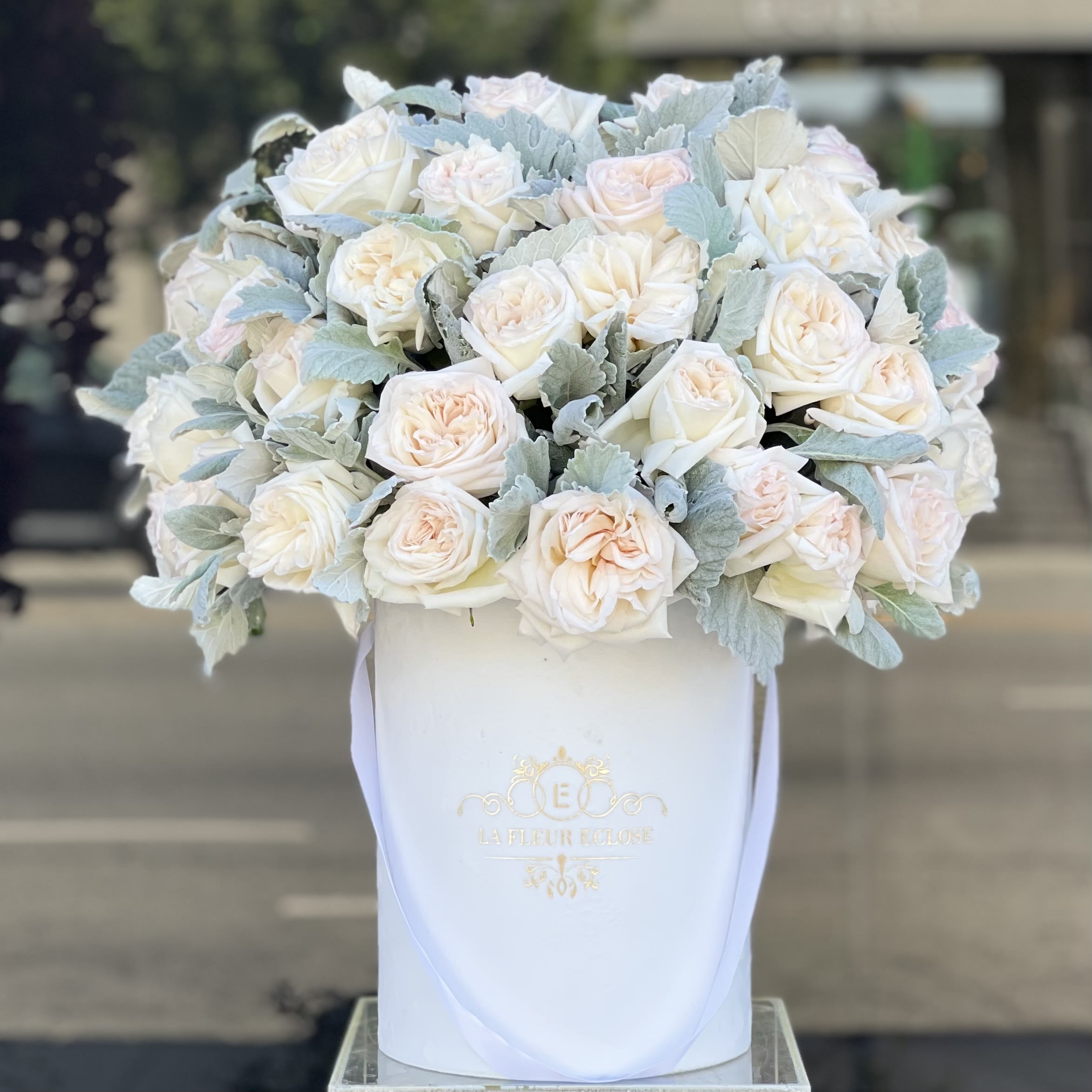 Garden roses box - Beautiful garden roses in our signature white velvet box