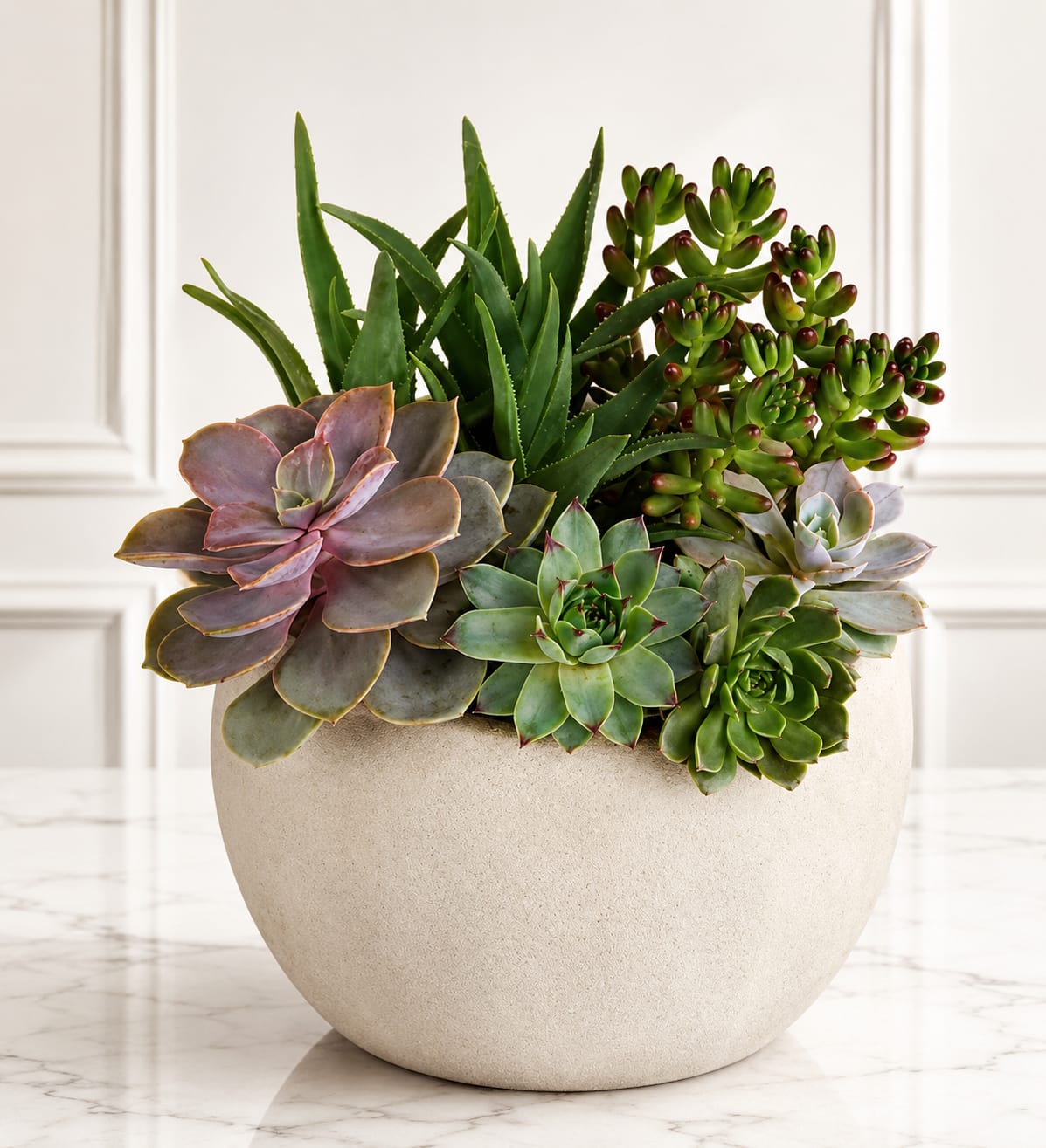 Desert Harmony Succulent Garden™ - Bring lasting beauty indoors with the Desert Harmony Succulent Garden™. This elegant arrangement features a carefully selected mix of premium succulents, including echeverias, aloe, jade sedum, and other unique varieties, beautifully displayed in a modern ceramic planter. Easy to care for and full of natural charm, this living garden makes a thoughtful gift for birthdays, housewarmings, thank-you occasions, sympathy, or simply to brighten any home or office.