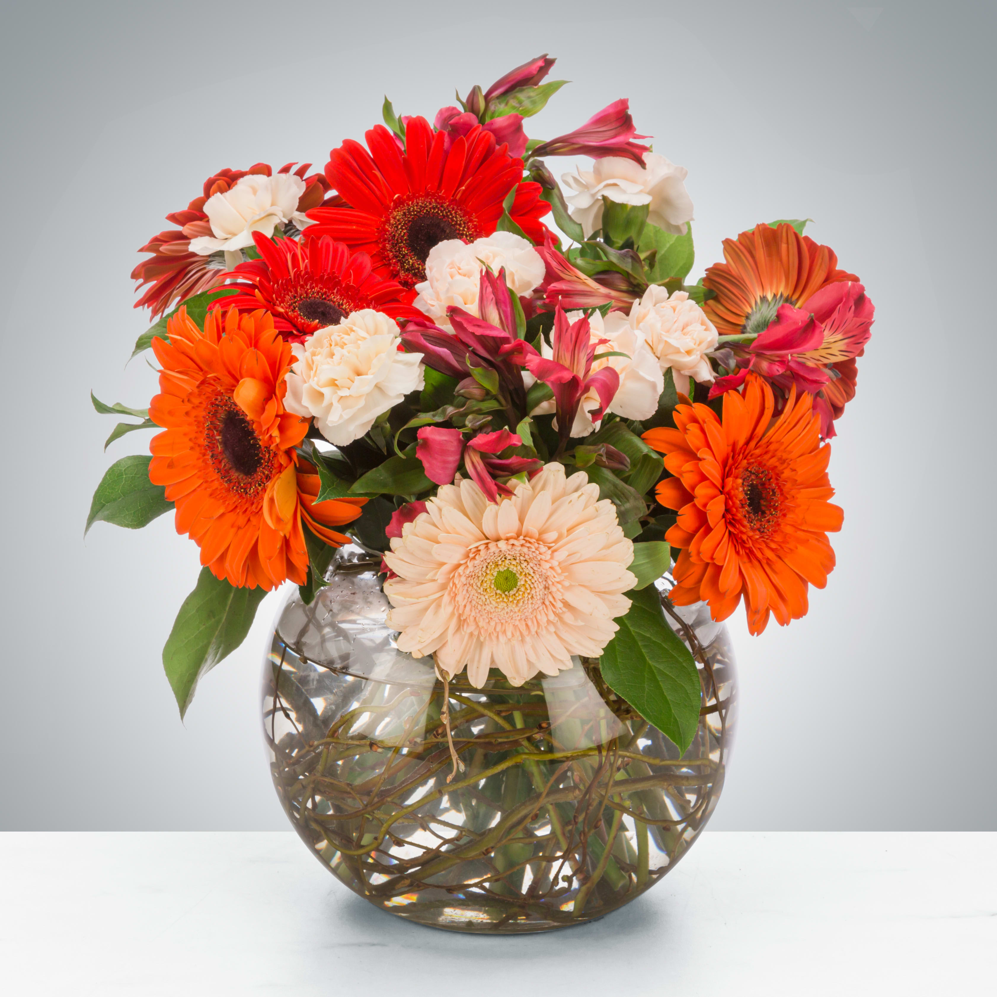 Cider Donuts by BloomNation™ - This cheerful autumn arrangement features a variety of fall-colored daisies, alstroemeria, and carnations in a bubble vase with curly willow. Cider donuts, pumpkin spice, hayrides all go hand-in-hand. Send this to a fall-loving person as a perfect just because of surprise or as a Thanksgiving gift.  Approximate Dimensions: 12"D x 14"H