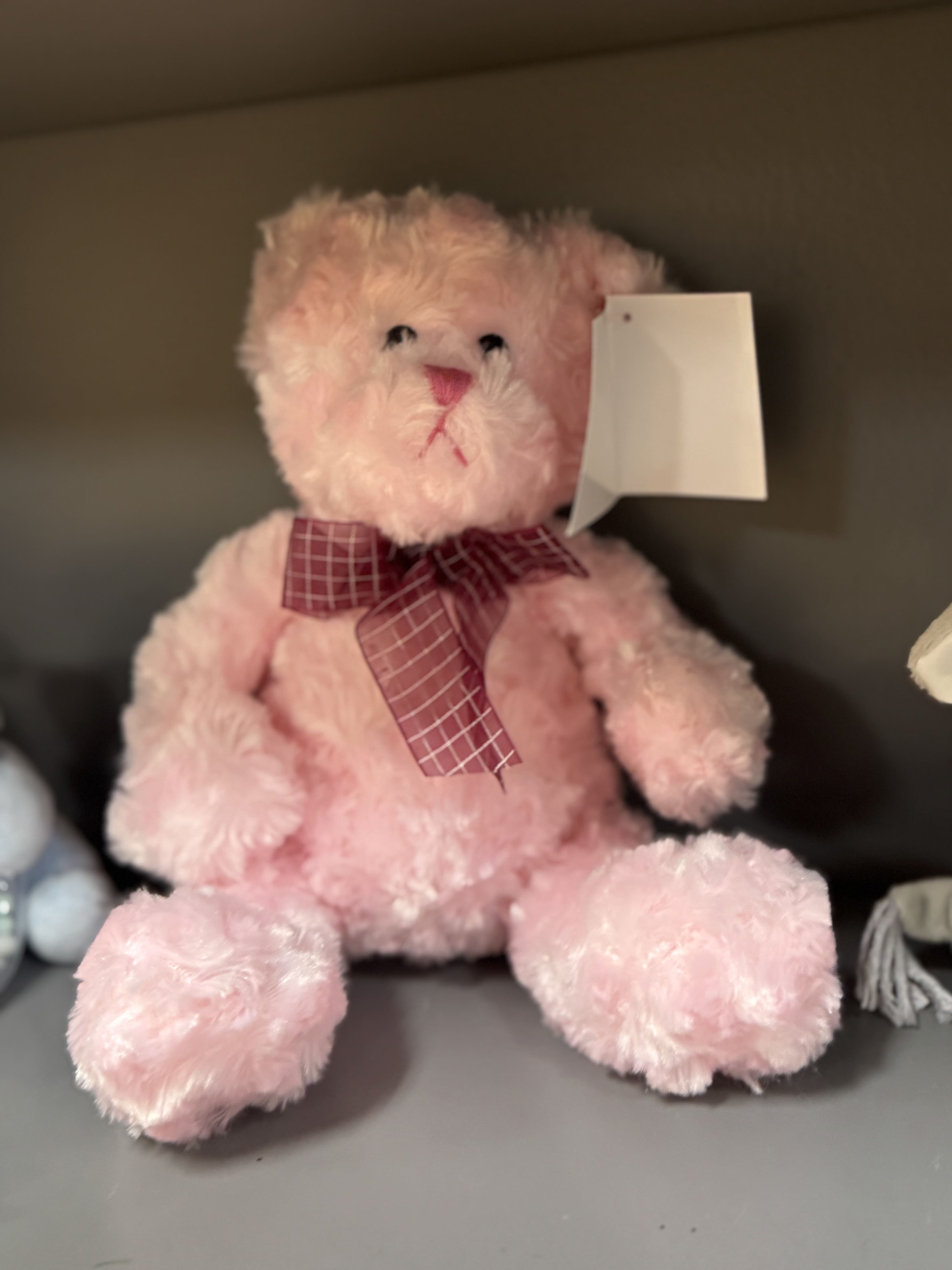 Pink teddy bear with a plaid bow and hanging tag