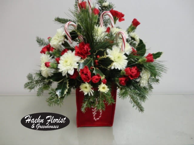Candy Cane Lane - Fresh daisies, carnations, greens and candy canes in a red container 