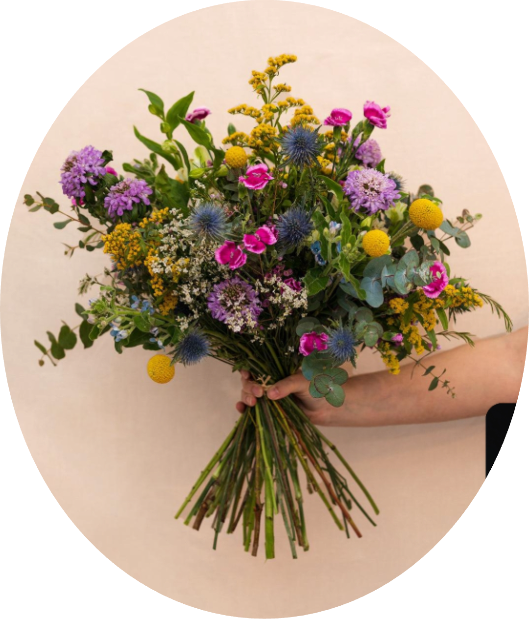 FLORES DEL BOSQUE - A lively, wildflower-inspired bouquet that feels like a burst of a spring meadow-perfect as a birthday bouquet, a cheerful thank-you arrangement, or just because you want to make someone smile. FLORES DEL BOSQUE pairs airy, hand-tied styling with a playful mix of purple, pink, yellow and blue tones so the person you're thinking of will feel brightened and celebrated the moment they see it.  This garden-style arrangement features daisies, dianthus, asters and other seasonal blooms gathered with long stems and eucalyptus-like foliage for a soft blue-green backdrop. Look for magenta and lavender pom‑pom shapes, small clustered yellow accents, and spiky blue thistle-like elements that add texture and movement; the loose, informal silhouette reads fresh and slightly wildflower-casual.  Ideal for springtime celebrations, birthdays, or sending a spontaneous note of cheer, FLORES DEL BOSQUE arrives hand-tied with generous stems to display in a vase at home. Its playful mix of colors and textures makes the recipient feel truly seen-order with confidence for next-day delivery where available.