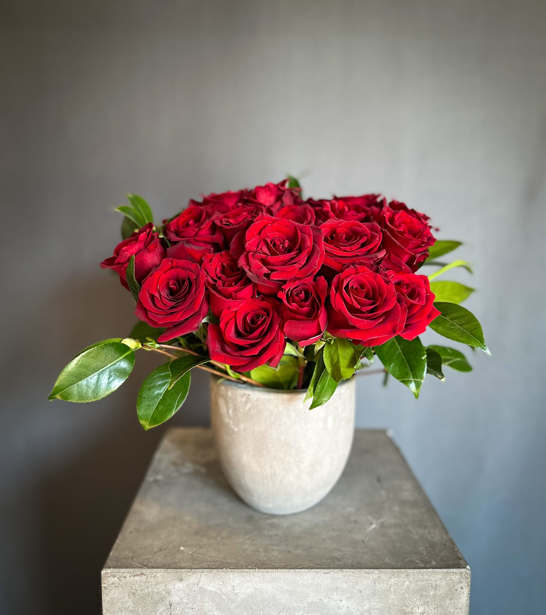 Red roses arranged in a white vase
