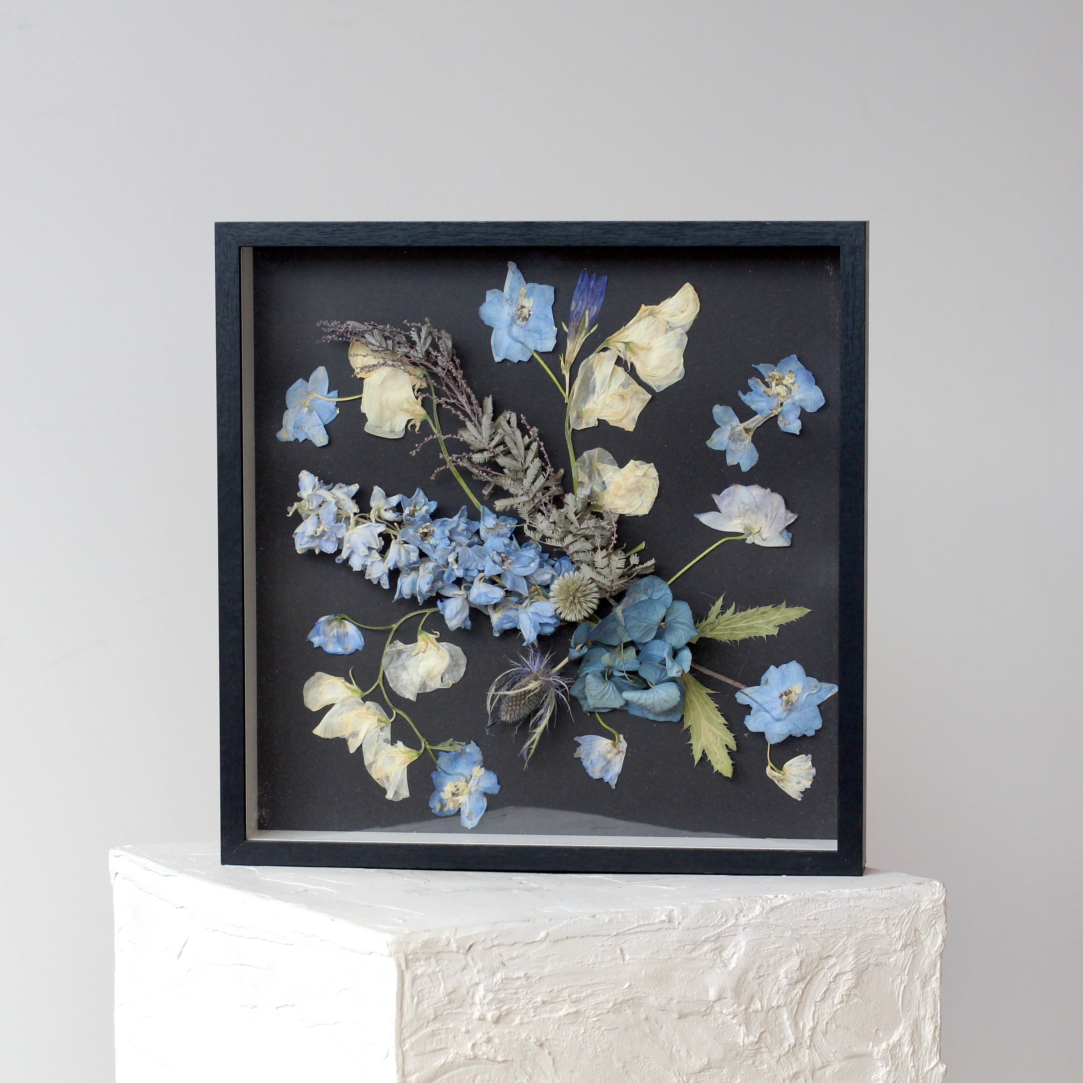 Framed pressed flower arrangement with blue and cream blossoms