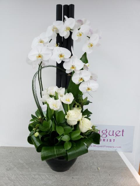 White orchids arranged in a black vase with green foliage